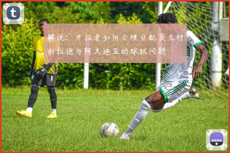解说：开拓者如何合理分配莫兰特利拉德与阿夫迪亚的球权问题