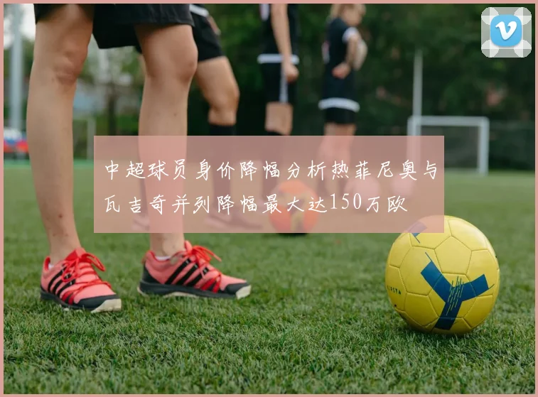 中超球员身价降幅分析热菲尼奥与瓦吉奇并列降幅最大达150万欧